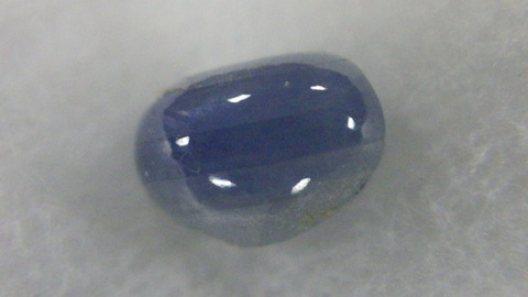 IMGP0506