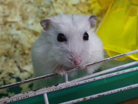 IMGP0192
